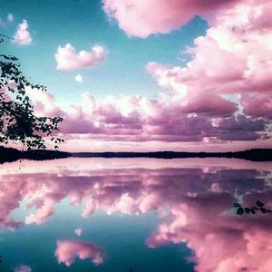 Meet your Posher, Kailey